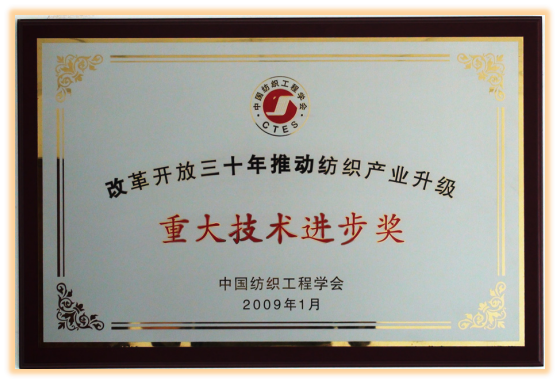 重大技術進步獎